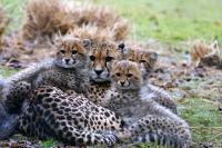Fotos aus dem Allwetterzoo Münster