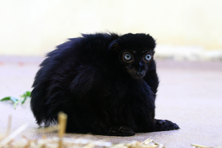 IMG_5295-1.jpg