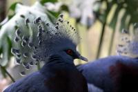 IMG_0238-1.jpg