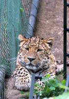 IMG_6296-1.jpg
