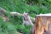 IMG_6377-1.jpg