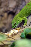IMG_6519-1.jpg