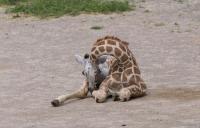 IMG_7100-1.jpg