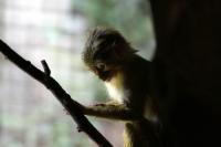 IMG_7132-1.jpg