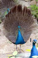 IMG_7253-1.jpg