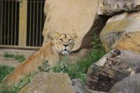 IMG_7954-1.jpg