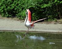 IMG_8189-1.jpg
