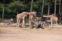 IMG_6315-1.jpg