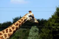 IMG_6348-1.jpg