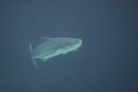 IMG_6465-1.jpg