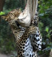 IMG_7220-1.jpg