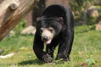 IMG_7514-1.jpg
