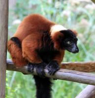 IMG_7362-11.jpg