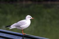 IMG_1814-11.jpg