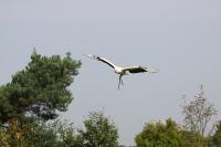 IMG_1972-11.jpg