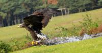 IMG_2259-11.jpg