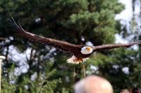 IMG_2297-11.jpg