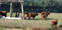 IMG_2402-11.jpg