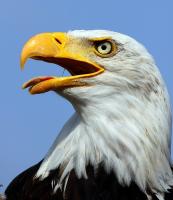 IMG_2459-11.jpg