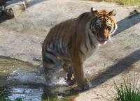 IMG_2548-11.jpg