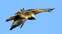 Wildpark Gangelt