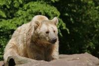 IMG_9324-11.jpg