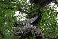 IMG_0848-11.jpg