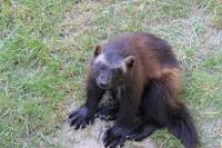 IMG_1767-11.jpg
