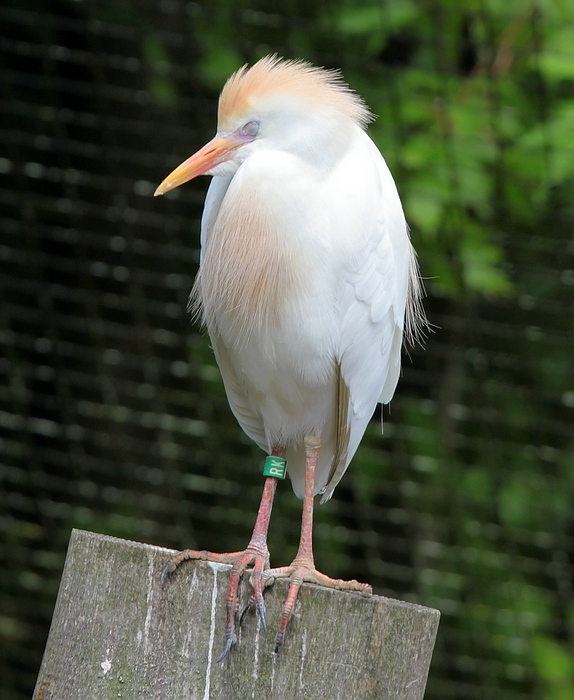 IMG_69401.jpg