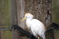 IMG_69761.jpg