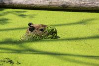 IMG_70321.jpg