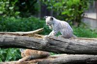 IMG_77161.jpg