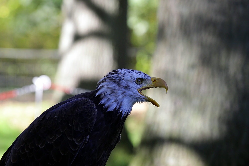 IMG_92141.jpg