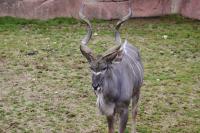 IMG_1418-11.jpg