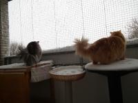 DSCF06831.jpg