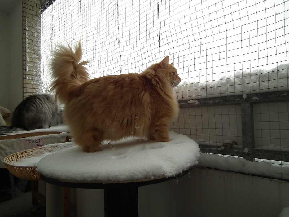 DSCF06871.jpg