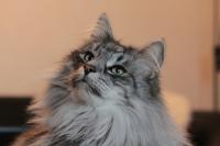 IMG_6032-11.jpg