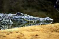 IMG_4370-11.jpg