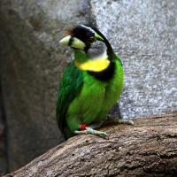 IMG_4718-11.jpg