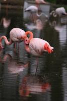 IMG_5058-11.jpg