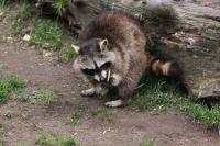 IMG_5071-11.jpg