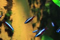 IMG_5147-11.jpg