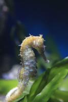 IMG_5189-11.jpg