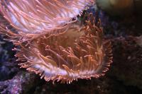 IMG_5318-11.jpg