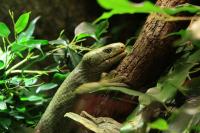 IMG_5336-11.jpg