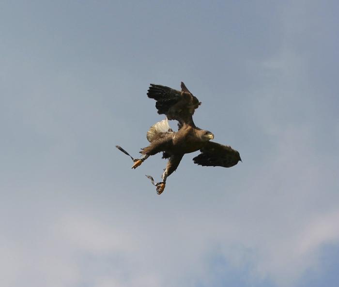 flug-11.jpg