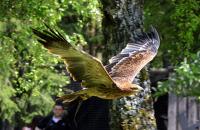 IMG_0058-11.jpg
