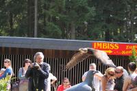 IMG_0162-11.jpg