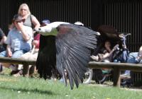 IMG_0203-11.jpg
