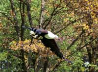 IMG_0242-11.jpg